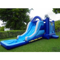 Dolphin Bounce Water Slide
