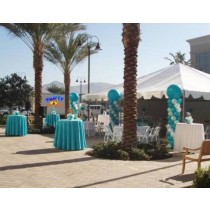 Party Rental Decoration