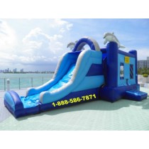 Dolphin Bounce House