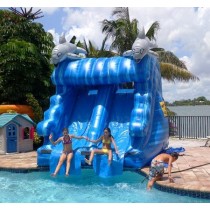 Dolphin Water Slide Rentals