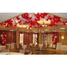 Party Rental Balloons Decoration
