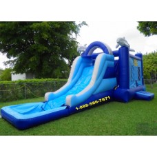 Dolphin Bounce Water Slide