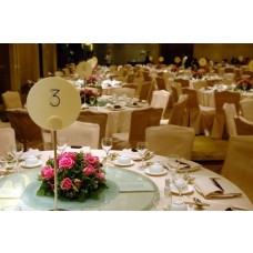 Party Rental Gold Decoration