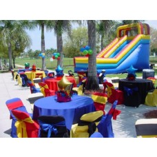 Party Rental Multi Colors Decoration