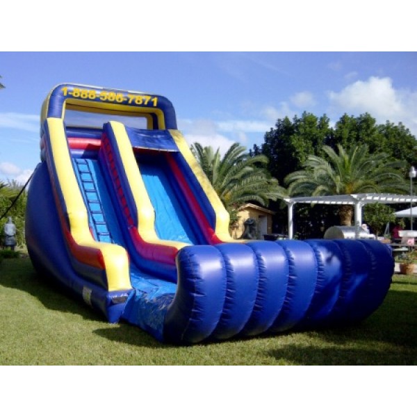Sunny Inflatable Slide