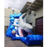 SHARK SLIDE RENTALS