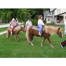 Ponies Rides